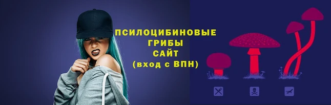 хмурый Баксан