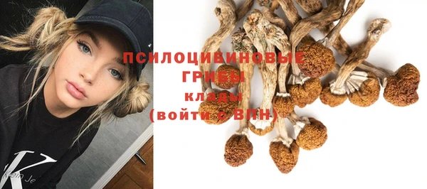 бутират Белокуриха