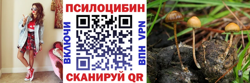 Псилоцибиновые грибы MAGIC MUSHROOMS  Кодинск 